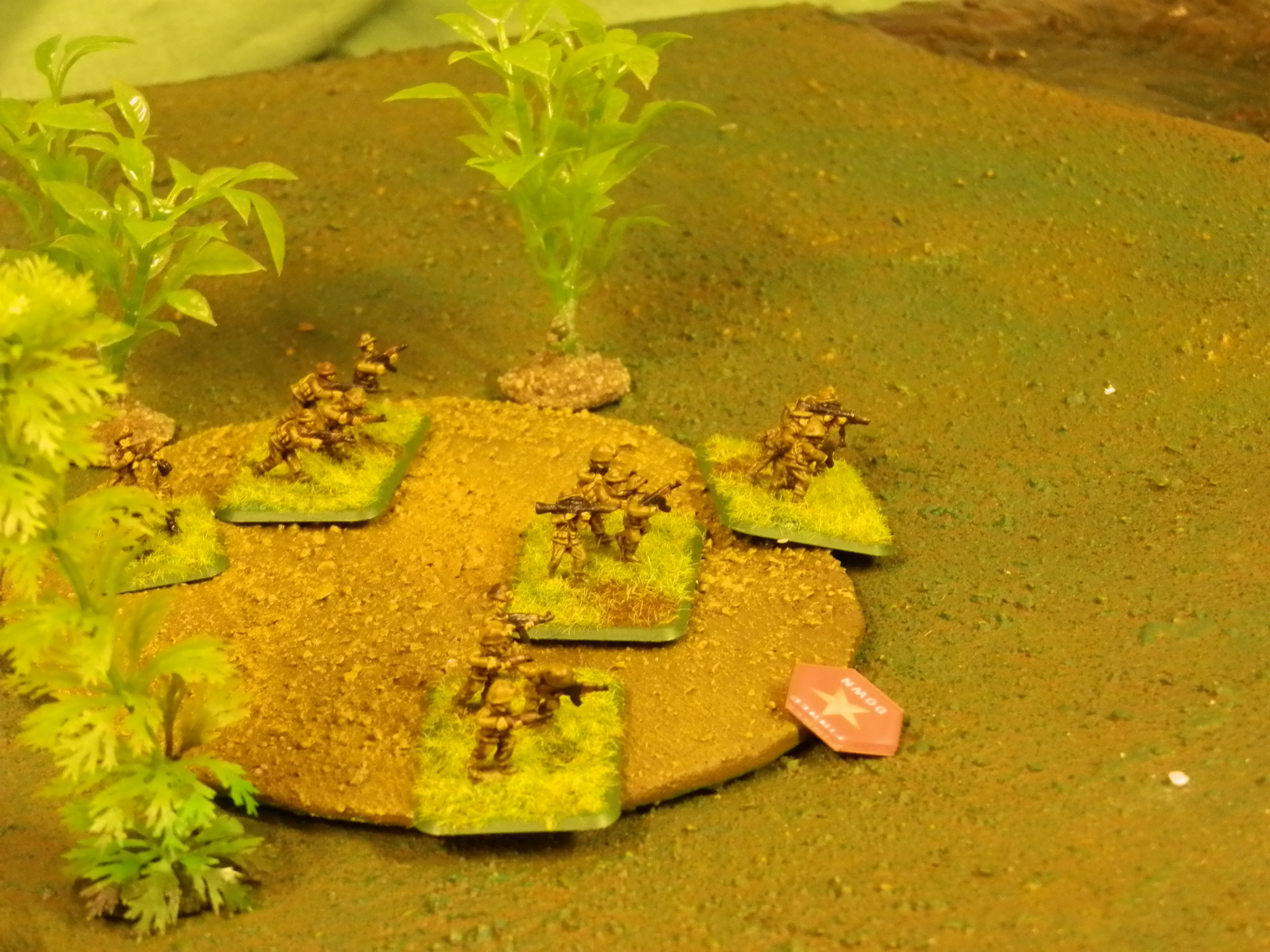 Another bash in the jungle