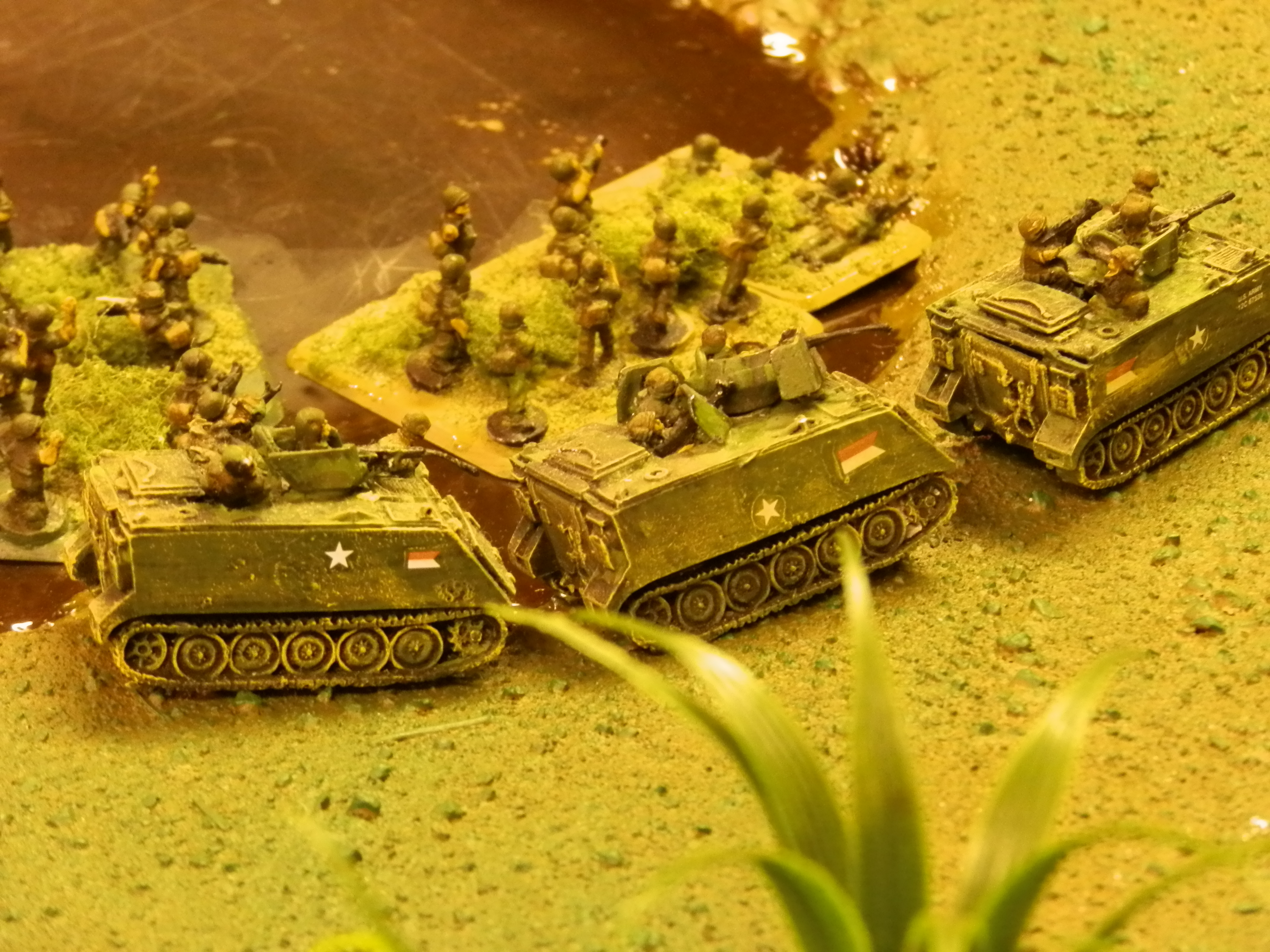 Another bash in the jungle