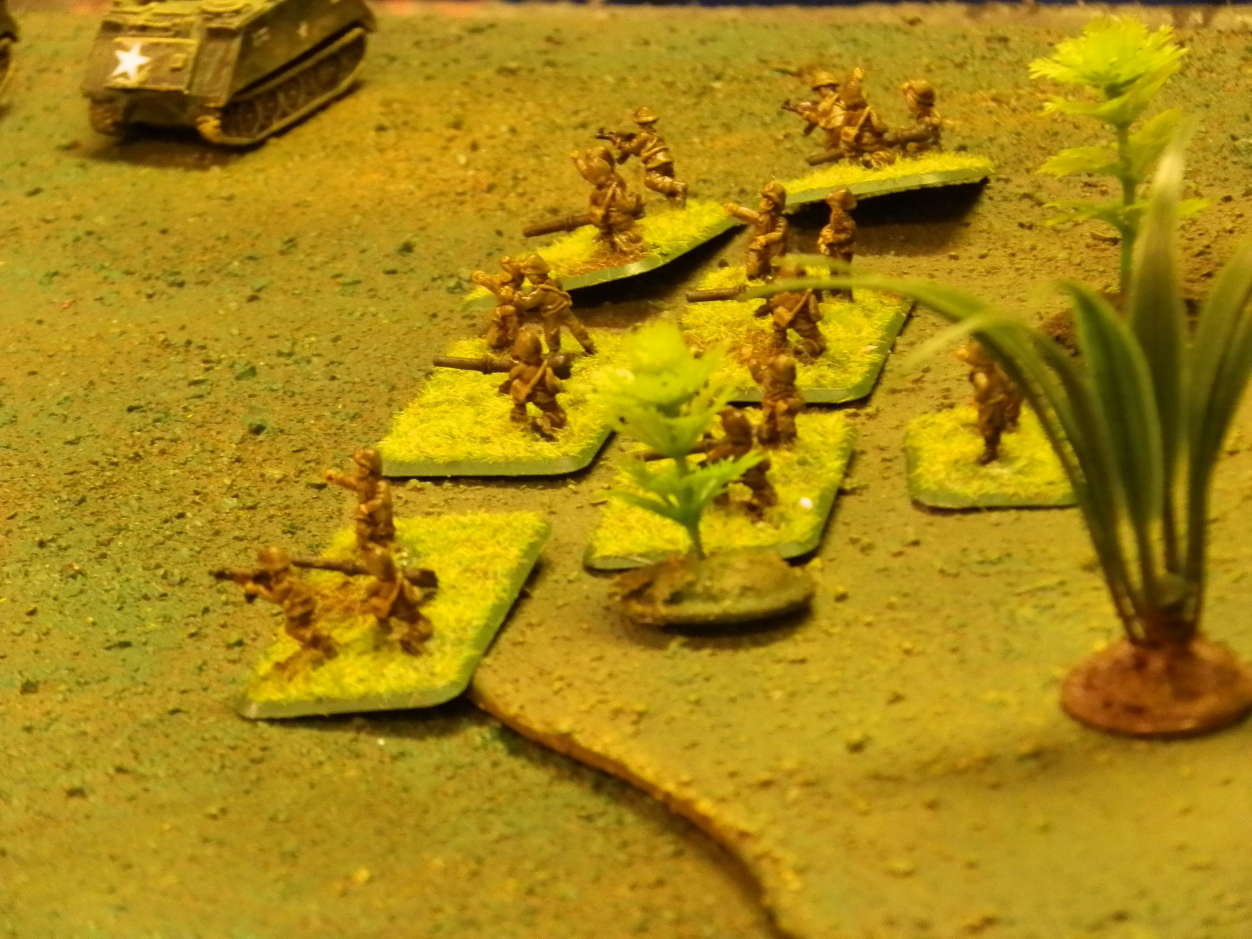 Another bash in the jungle