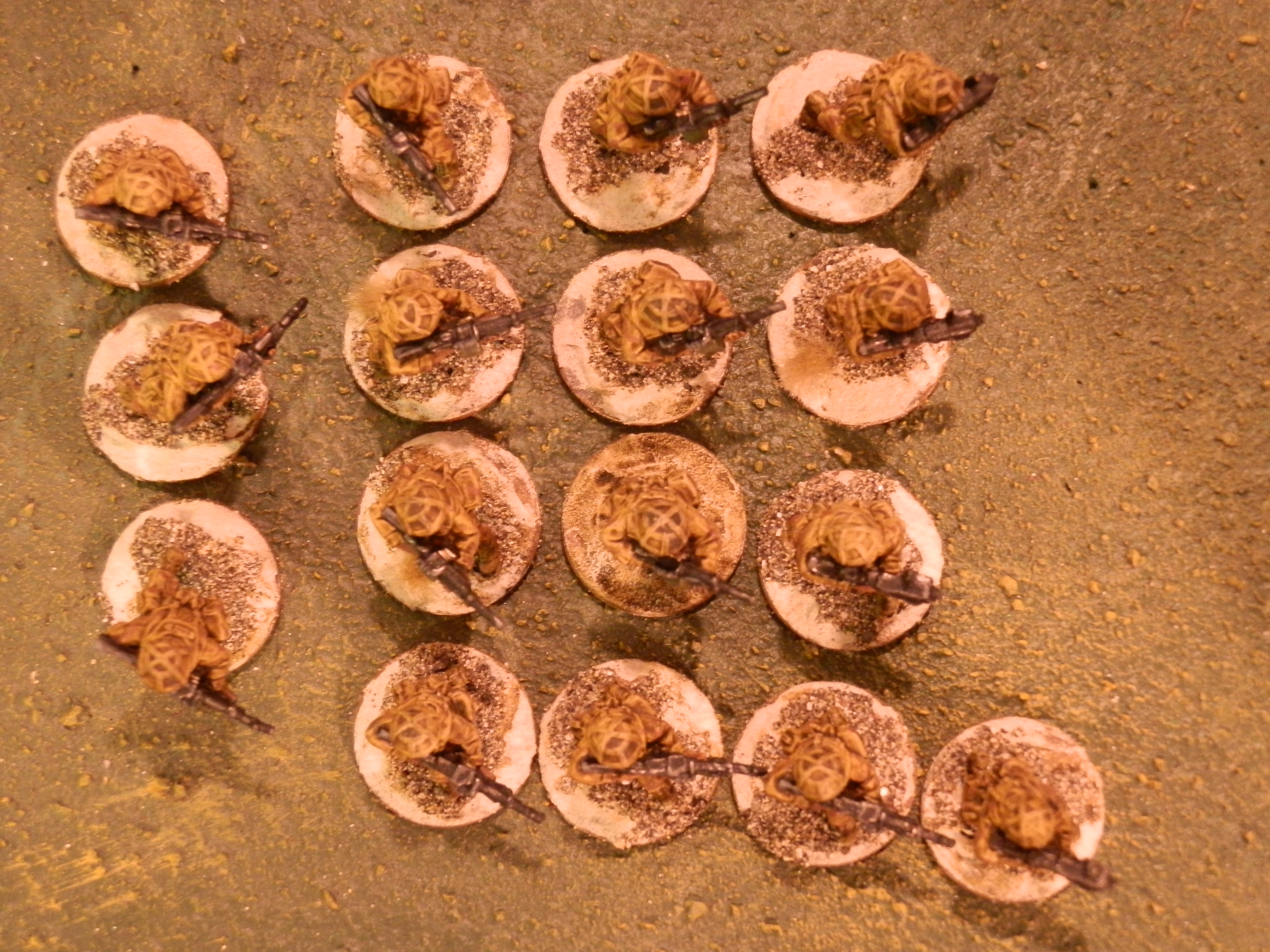 British reinforcements