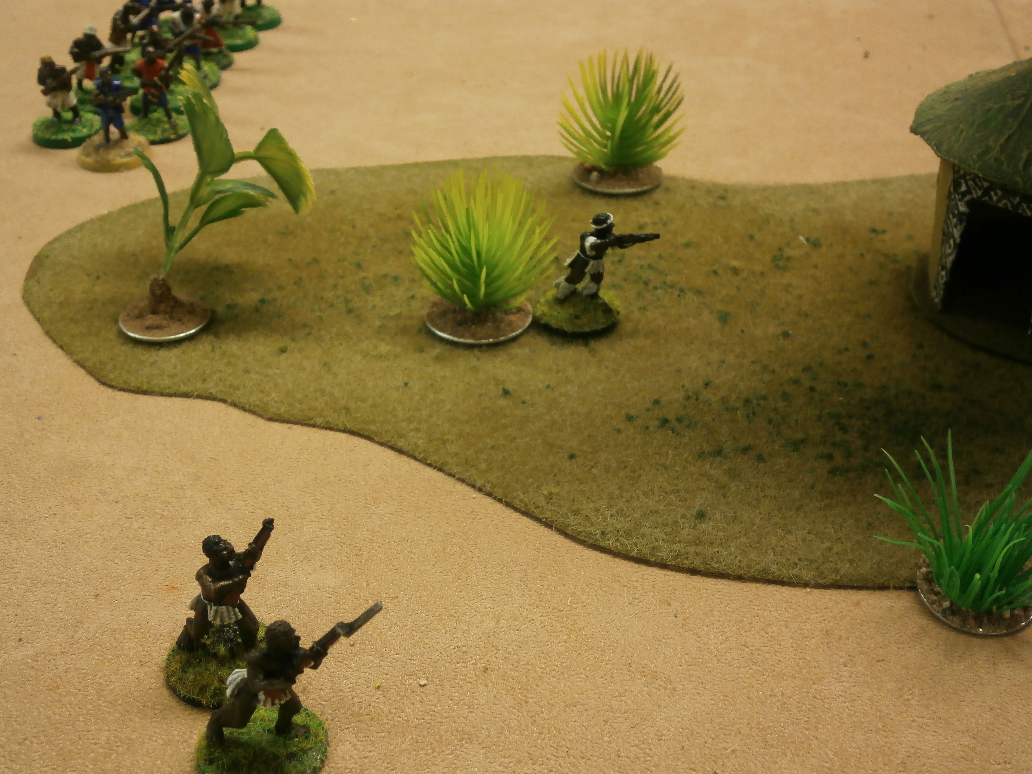 Muskets and Assegai battle