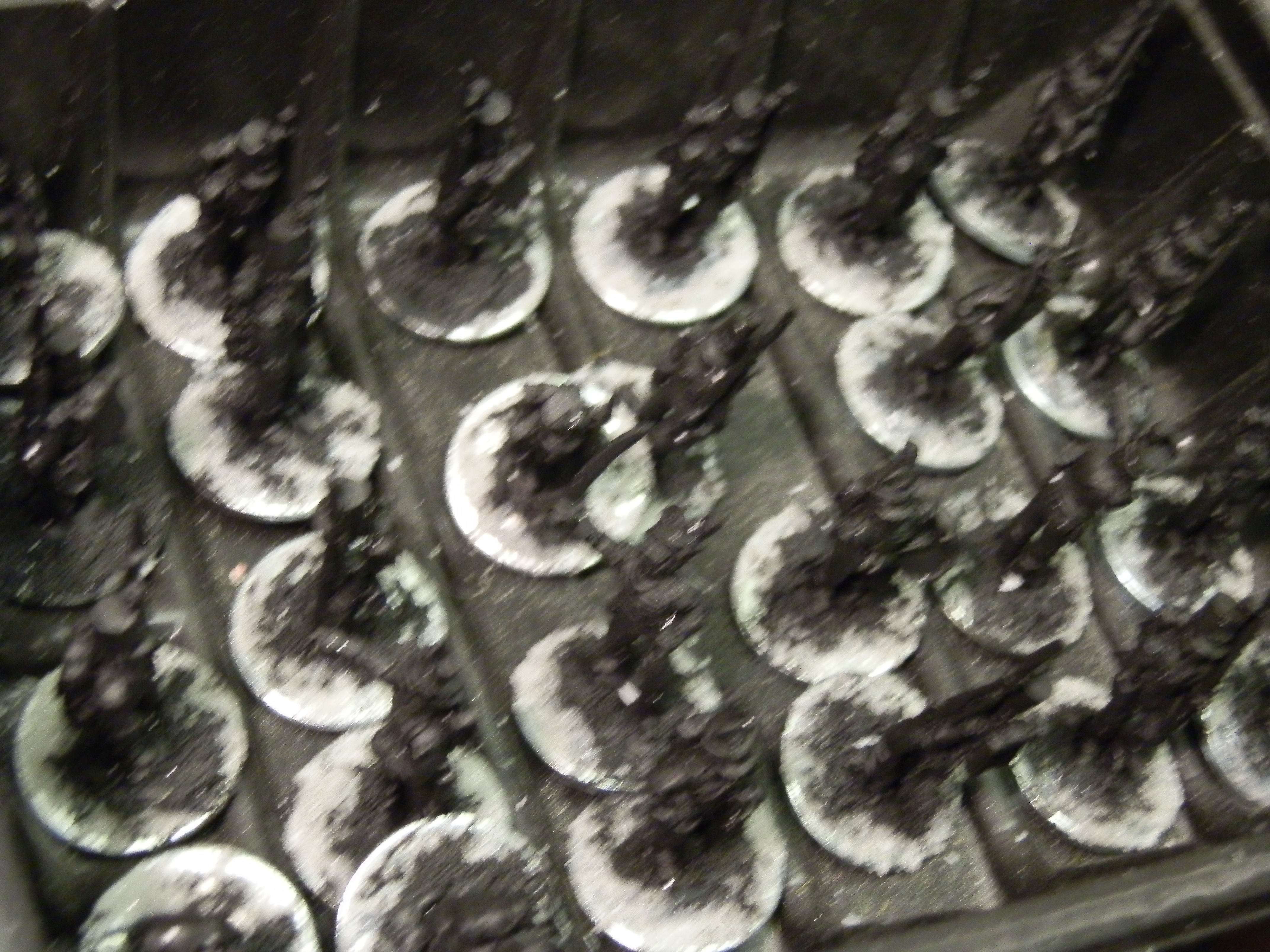 Portuguese Cacadores