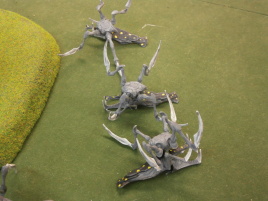 Oh no, they got sprayed!