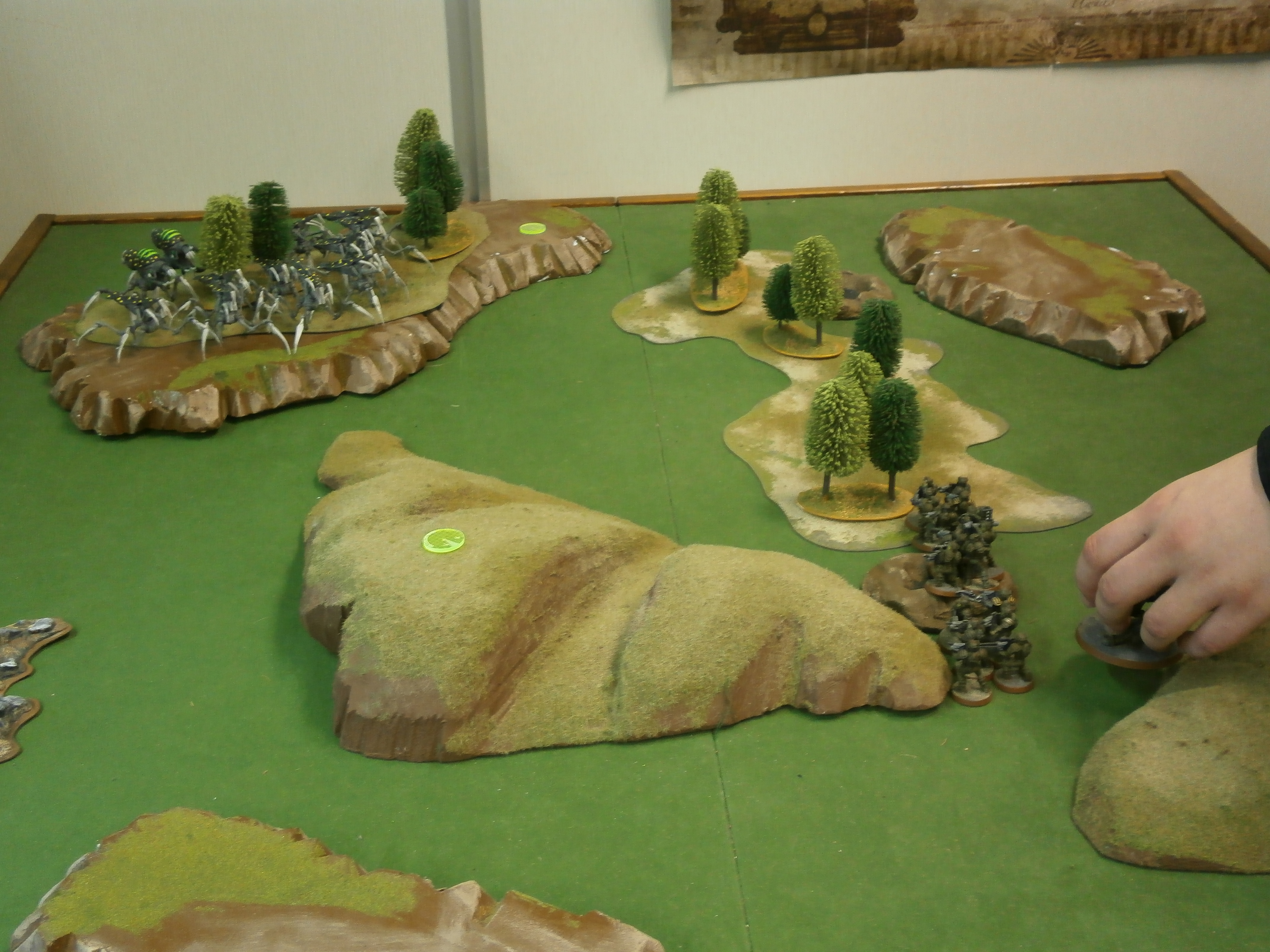 Grande Fiesta De Bug