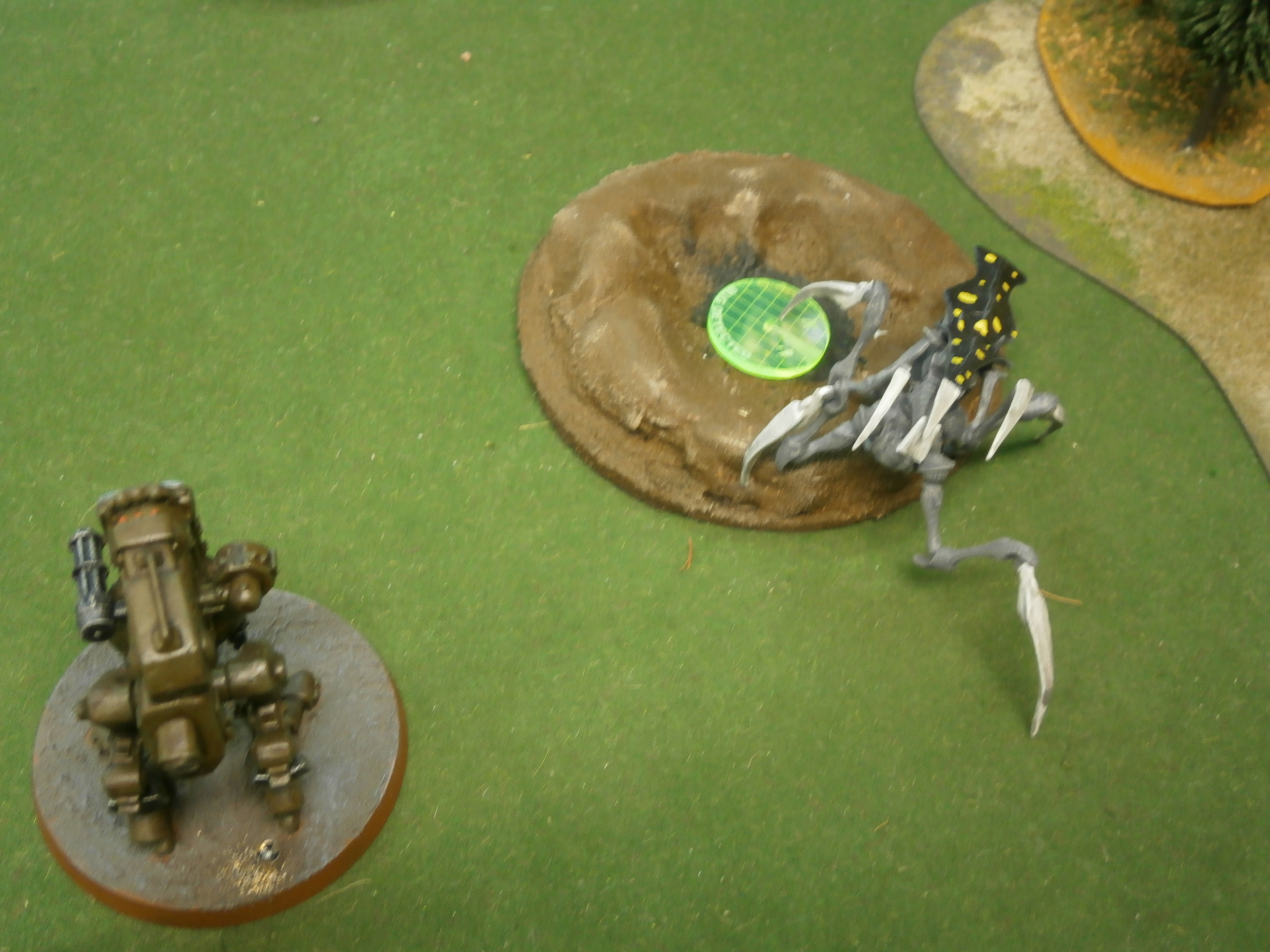 Grande Fiesta De Bug