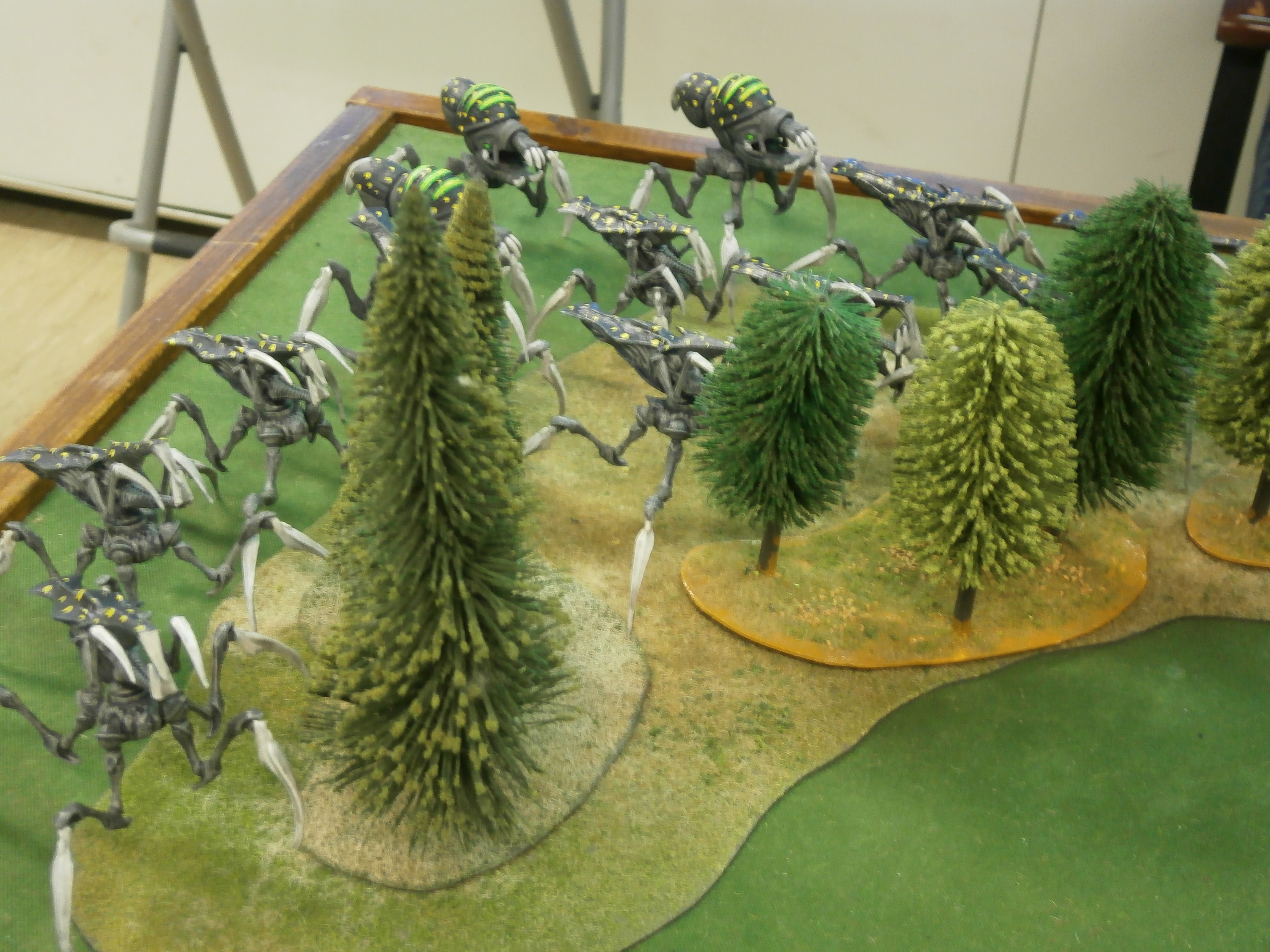 Grande Fiesta De Bug