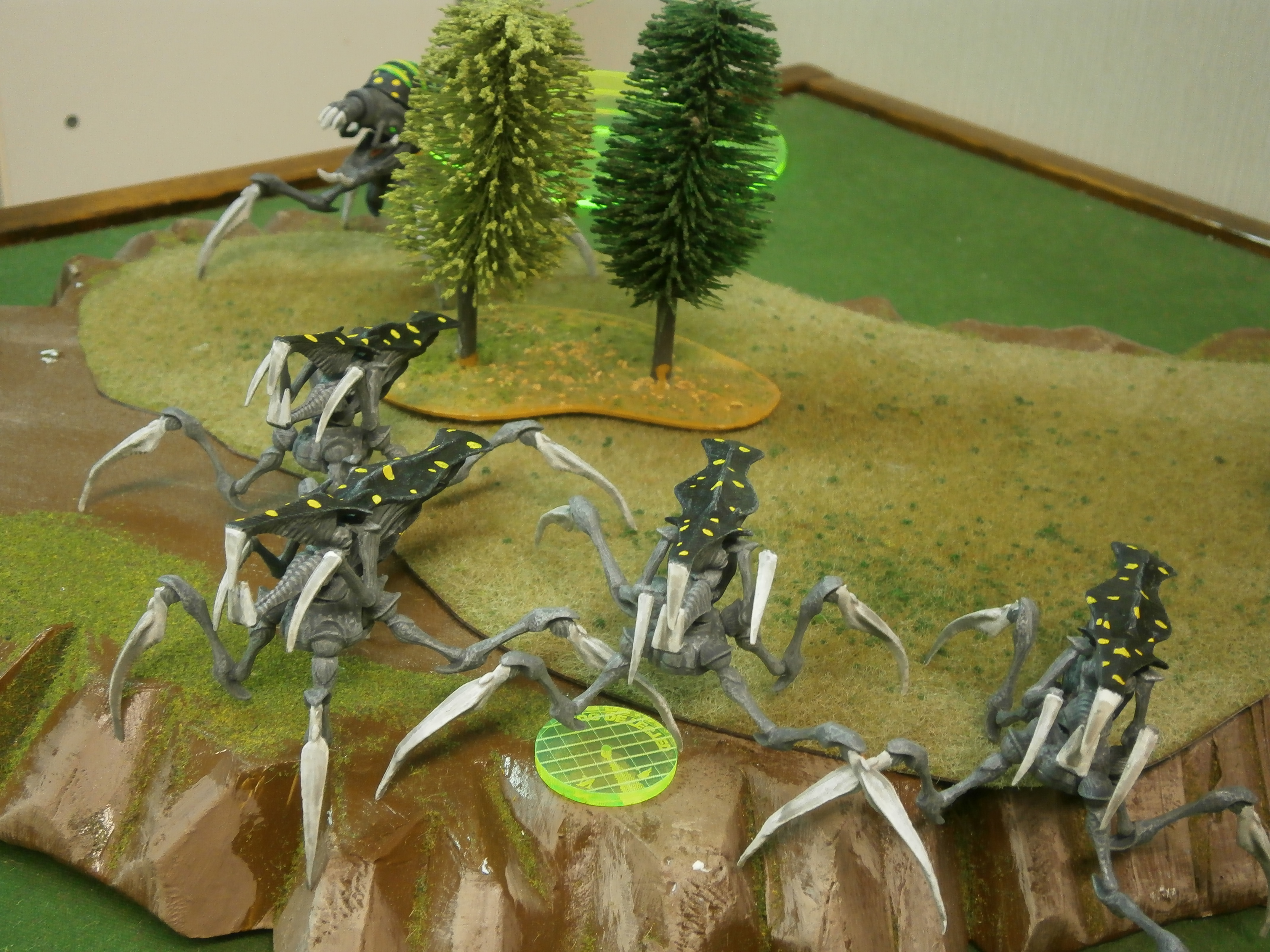 Grande Fiesta De Bug