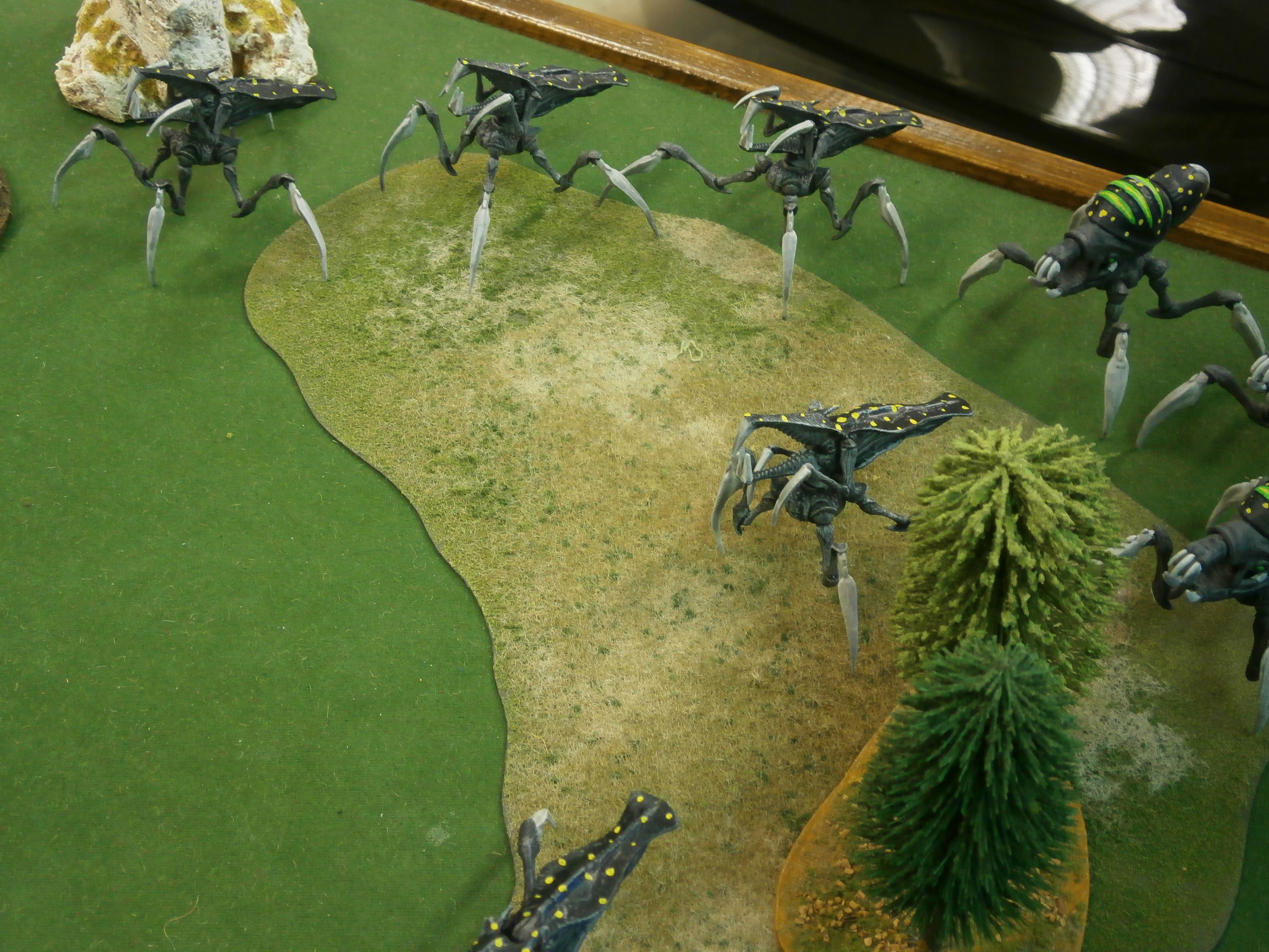 Grande Fiesta De Bug