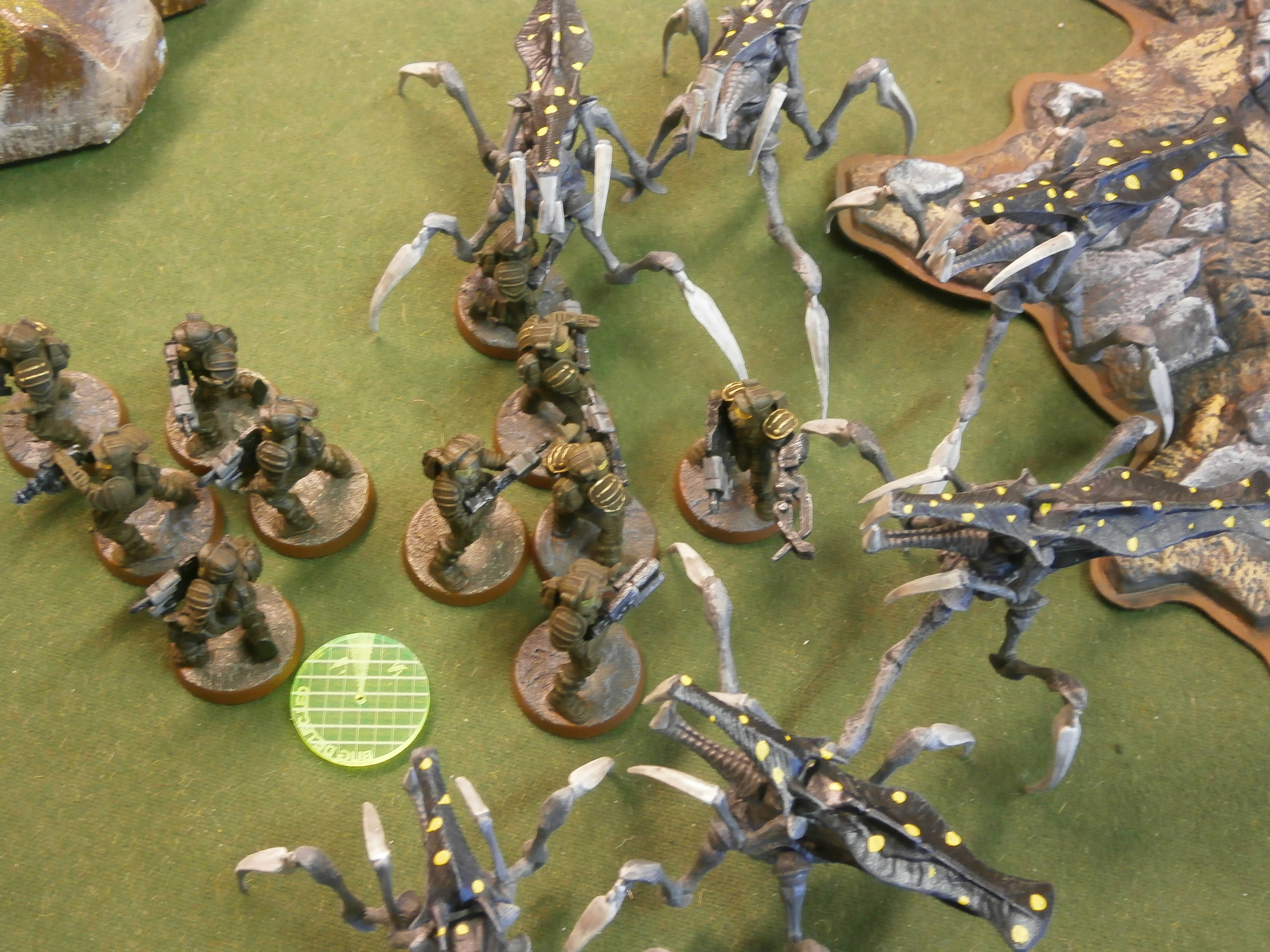 Grande Fiesta De Bug