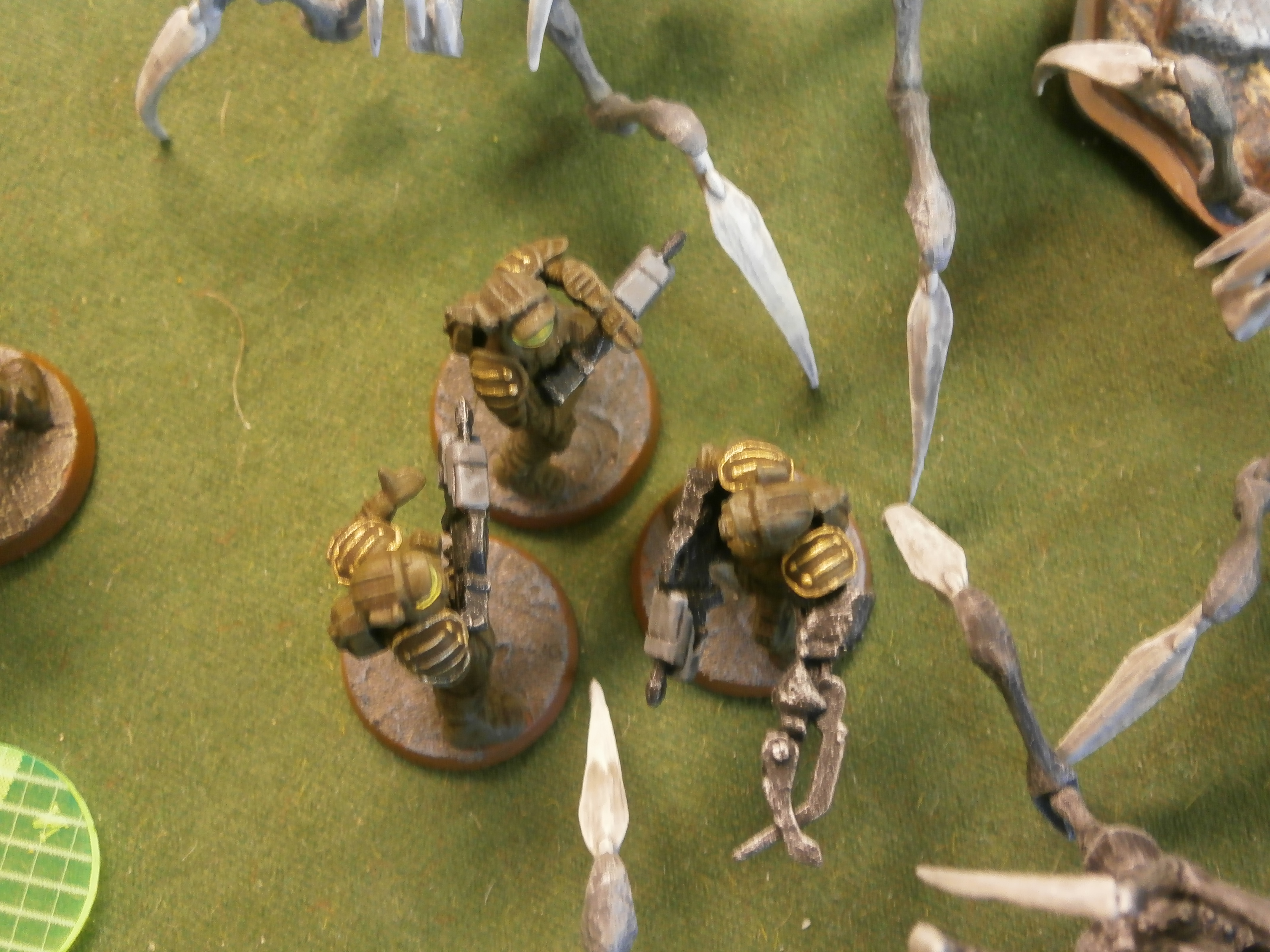 Grande Fiesta De Bug