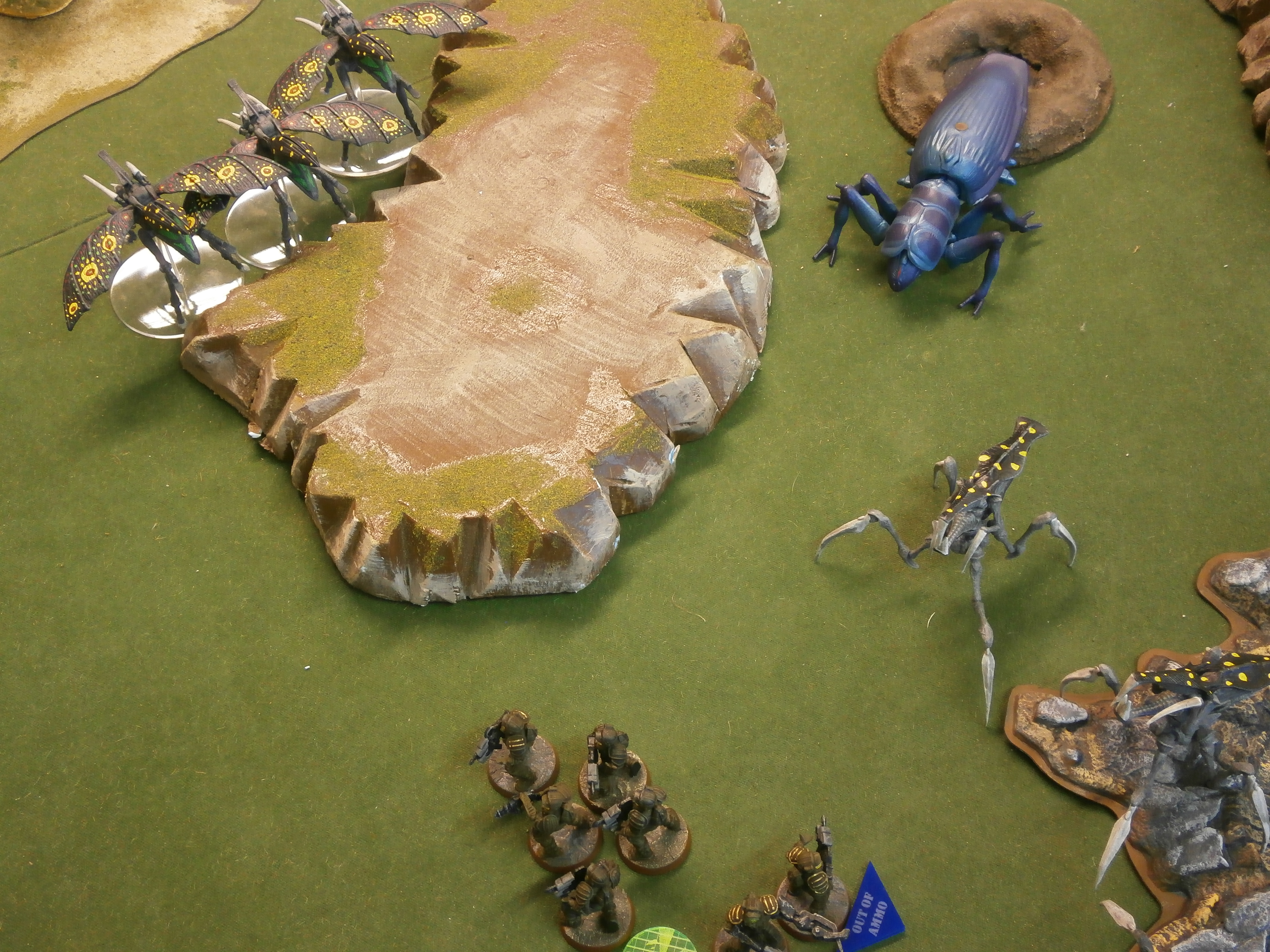 Grande Fiesta De Bug