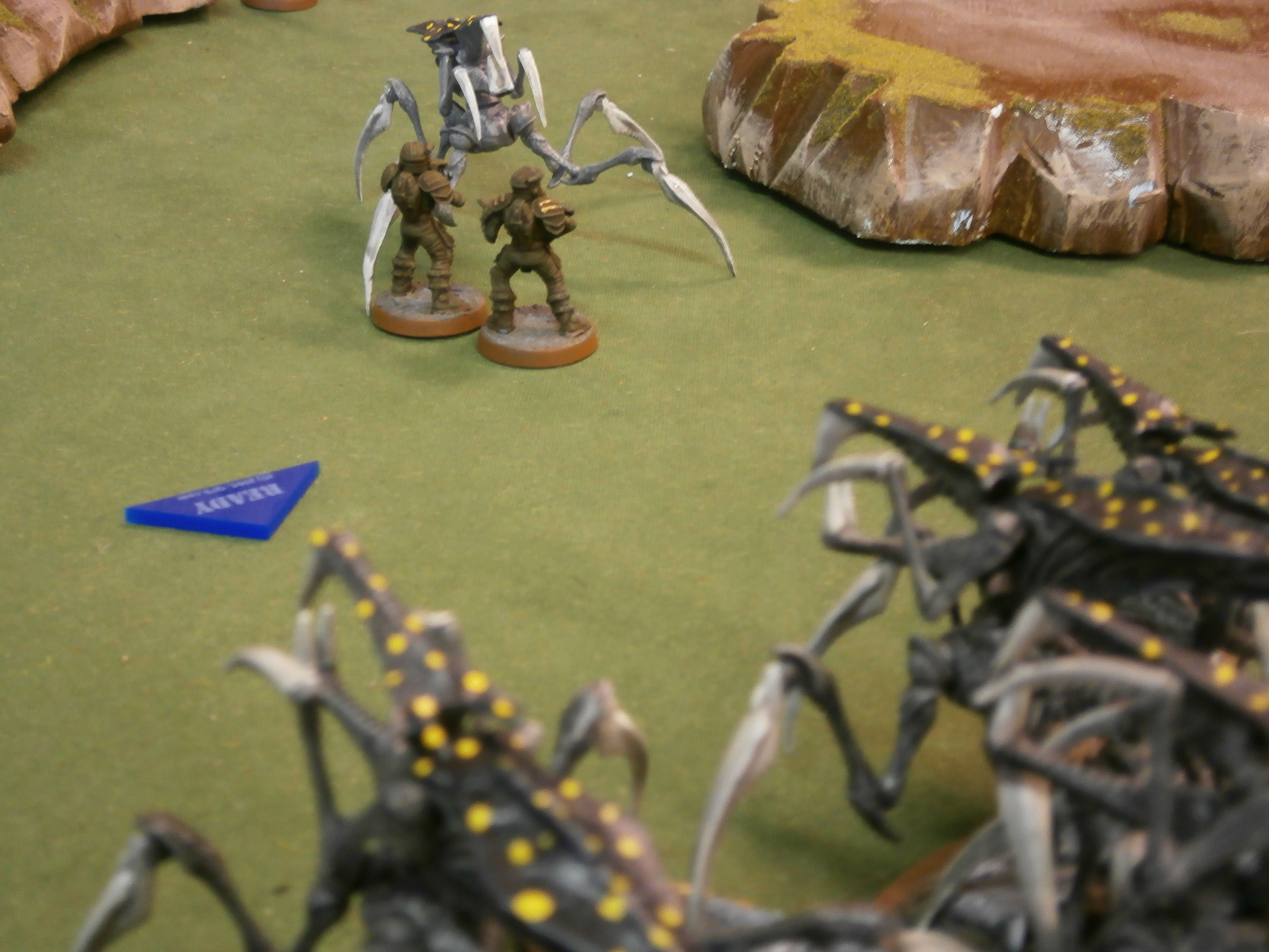 Grande Fiesta De Bug