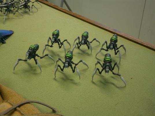 Grande Fiesta De Bug