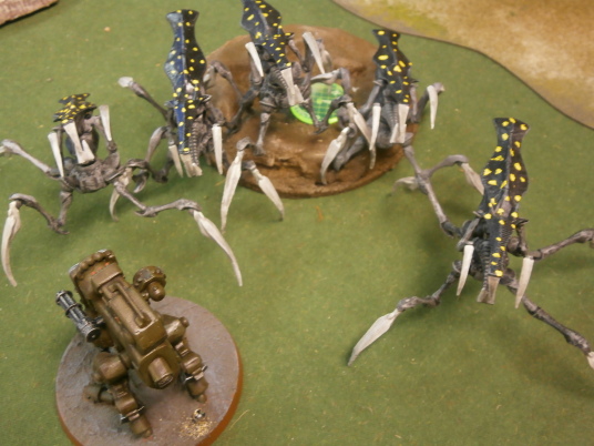 Grande Fiesta De Bug