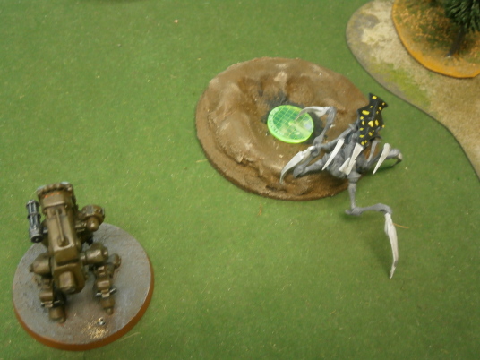 Grande Fiesta De Bug