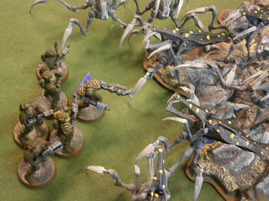 Grande Fiesta De Bug