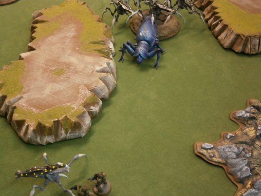 Grande Fiesta De Bug