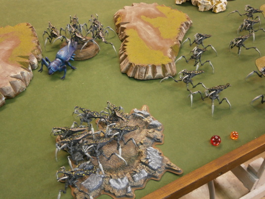 Grande Fiesta De Bug