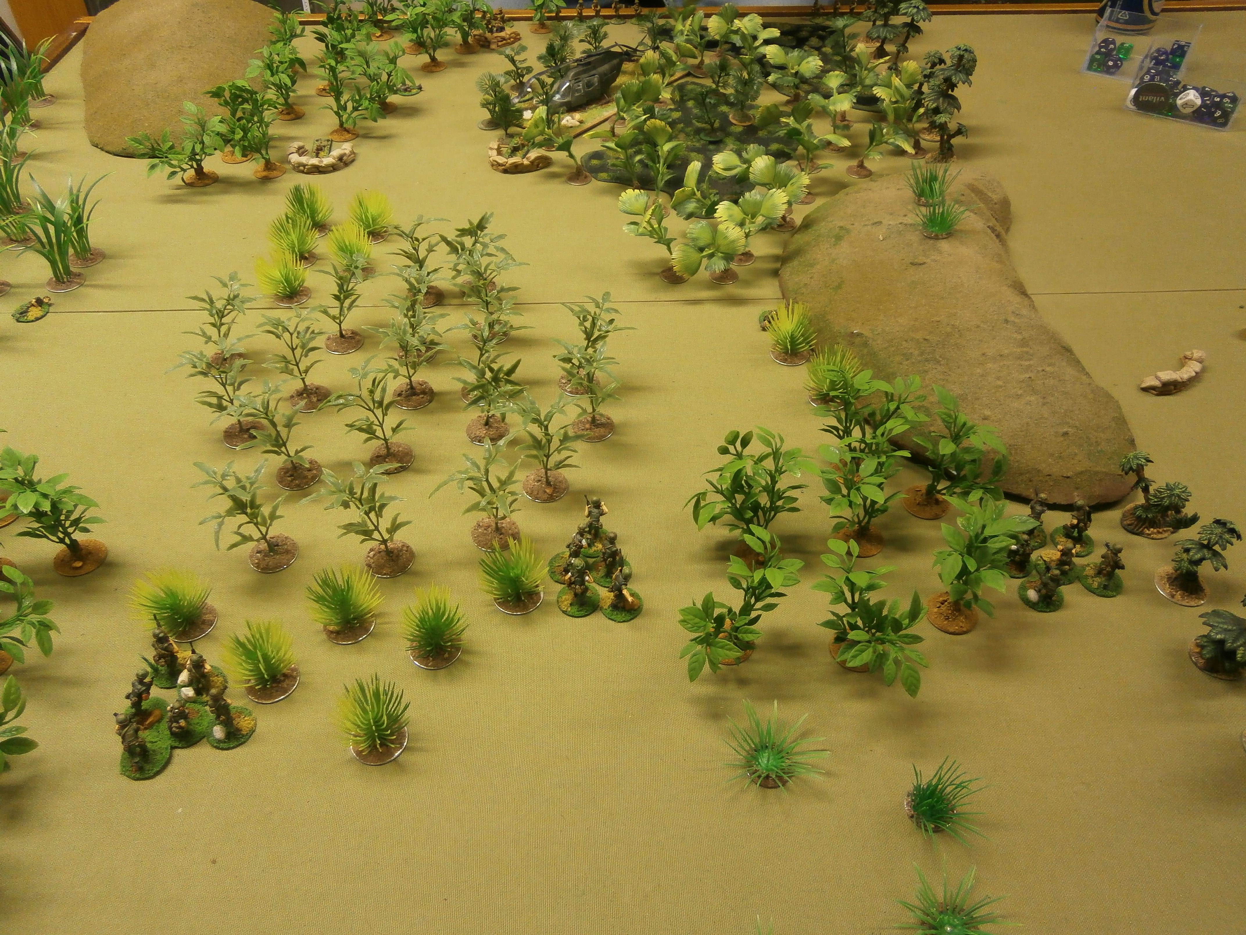 Vietnam: Chopper Down