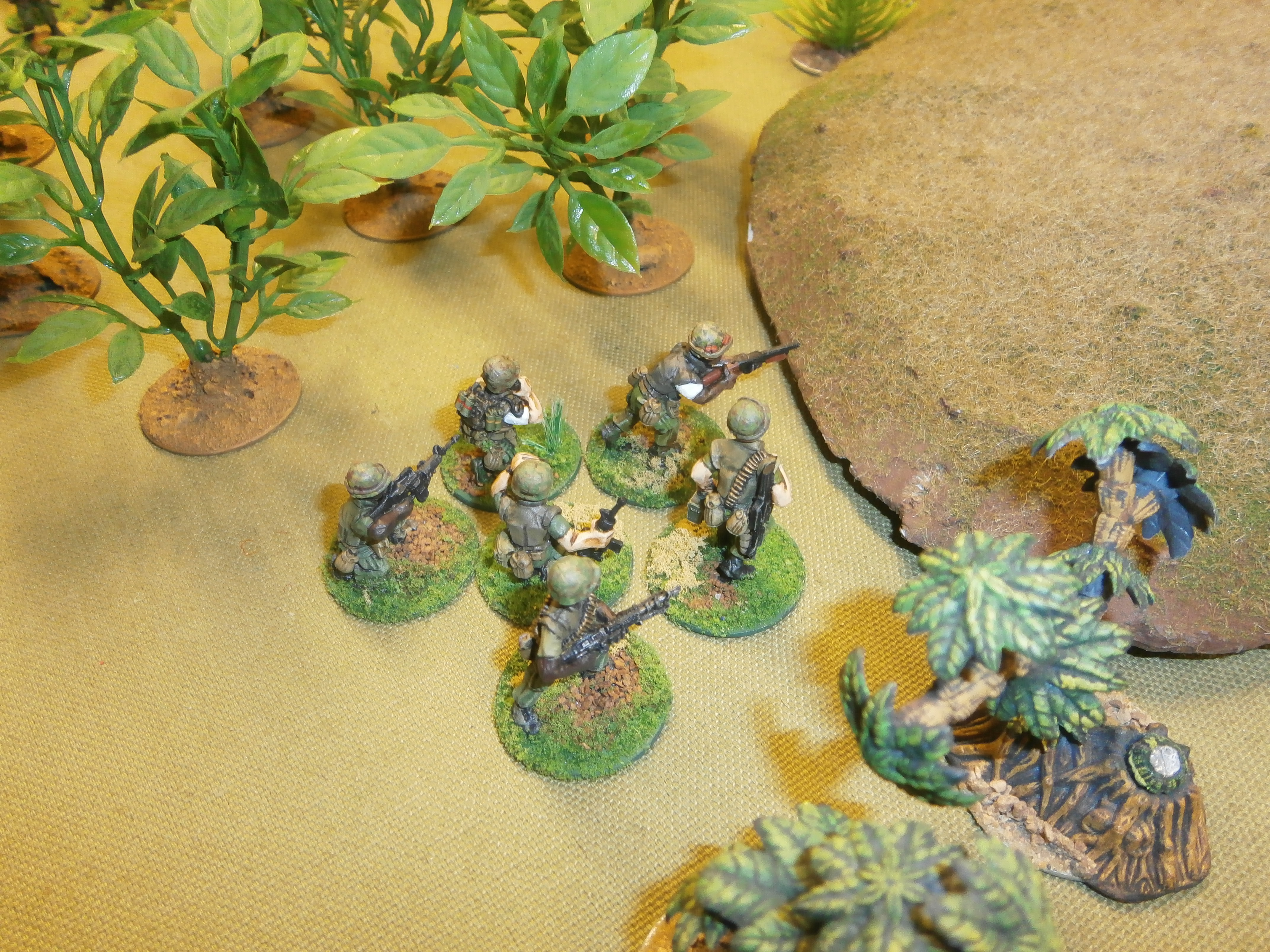 Vietnam: Chopper Down