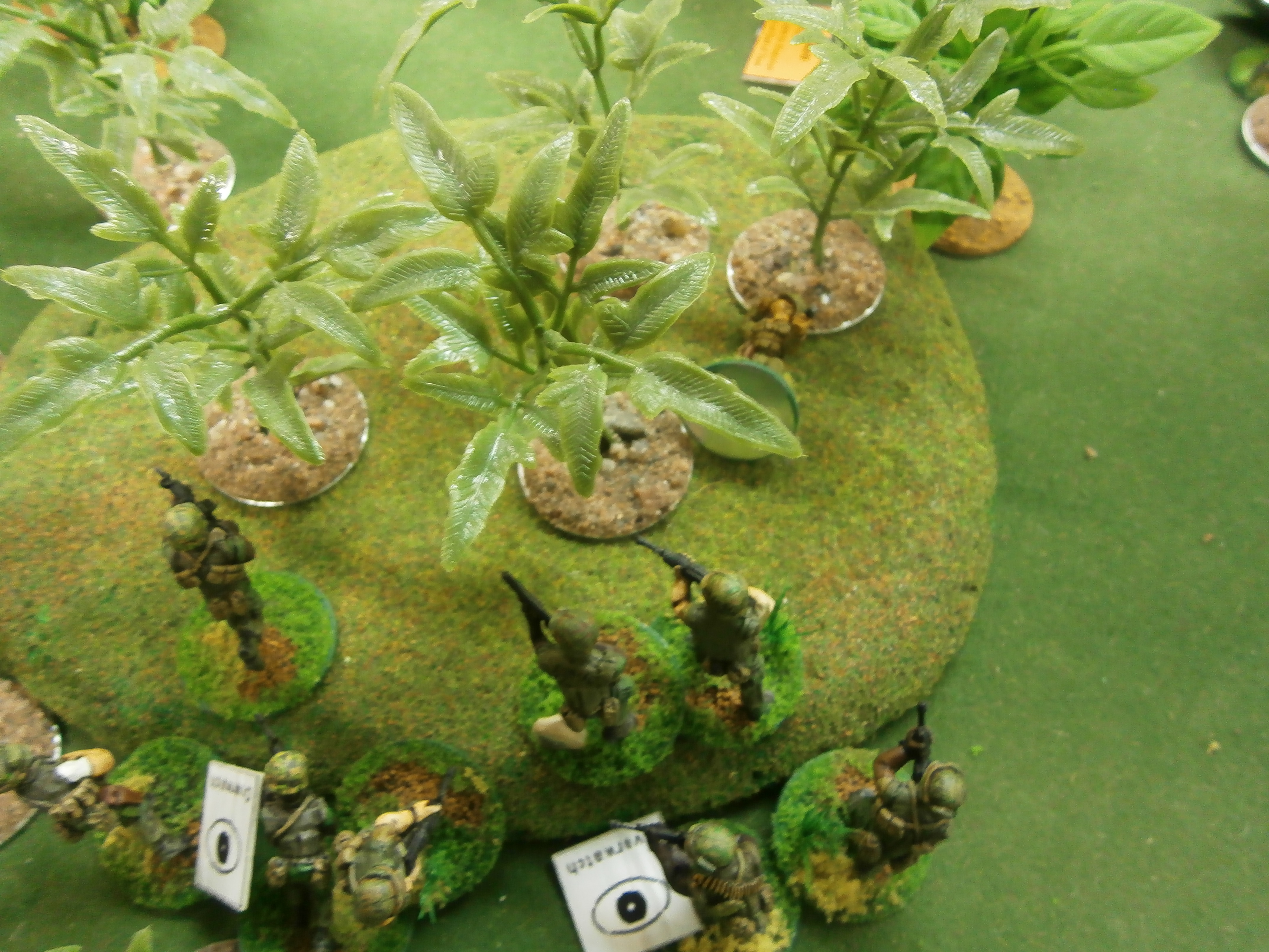 The Jungle is Alive!