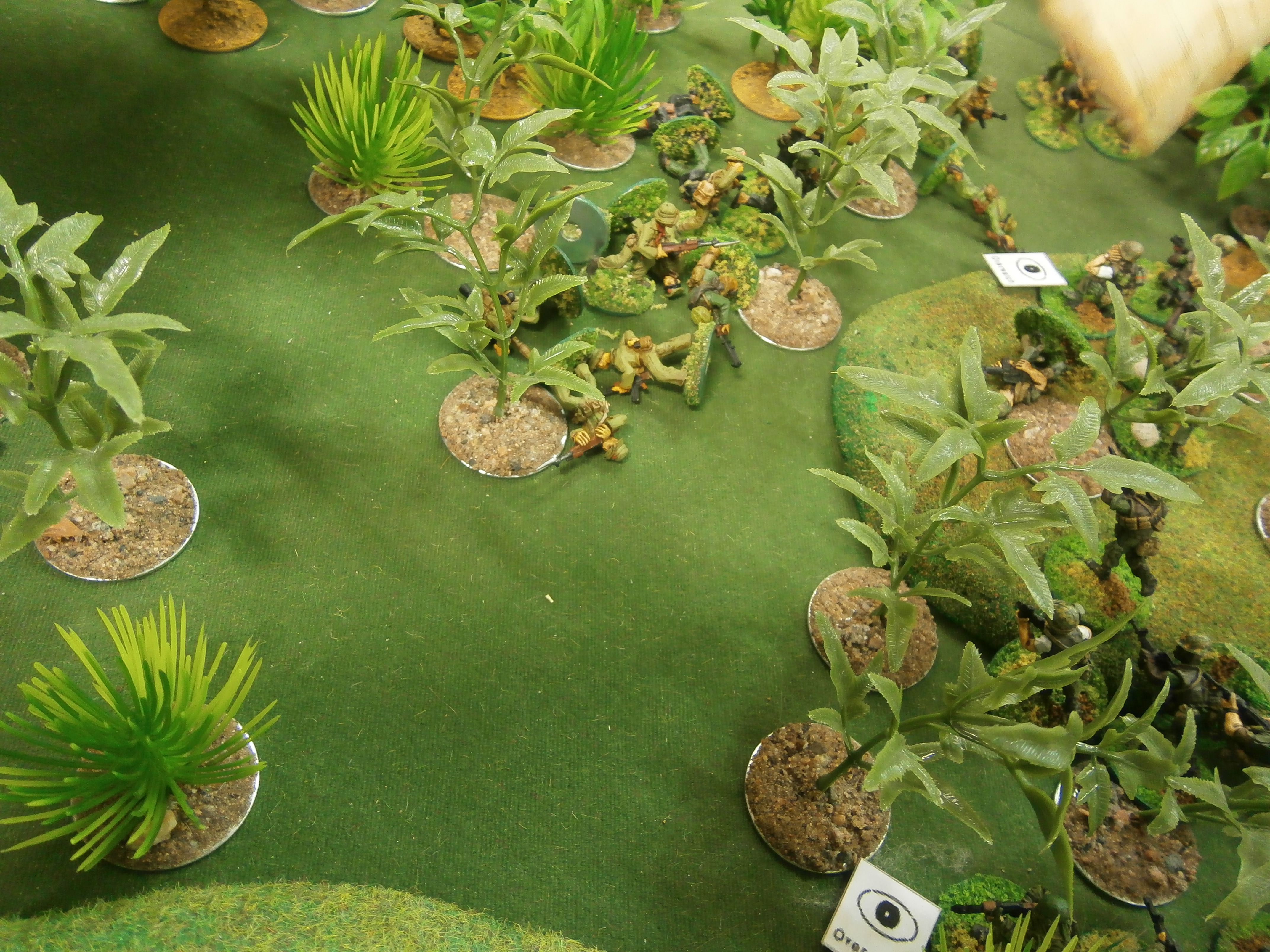 The Jungle is Alive!