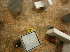 A deadly game of hide and seek.