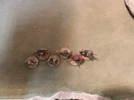 Victorian Adventurers