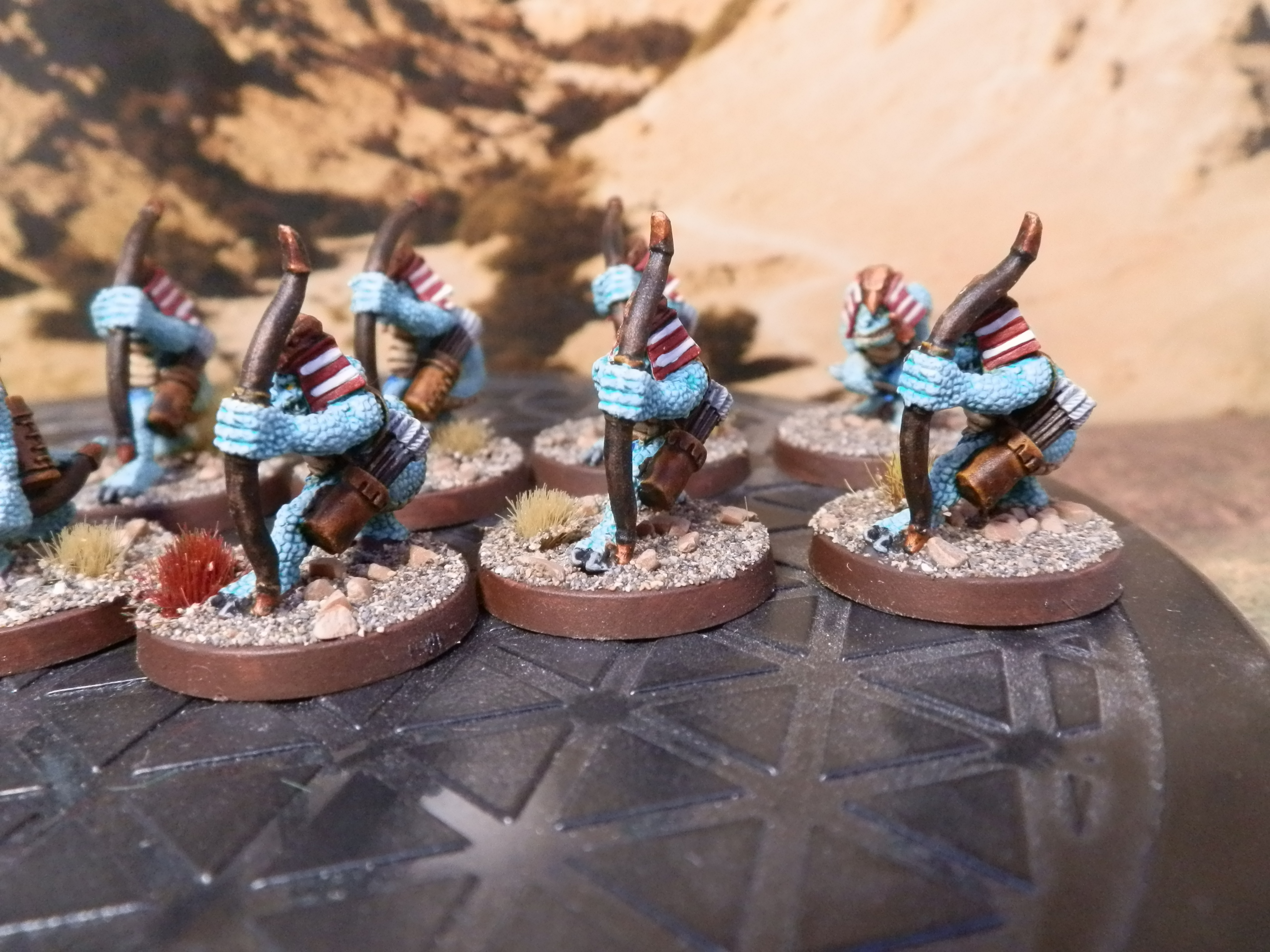 Desert Lizards