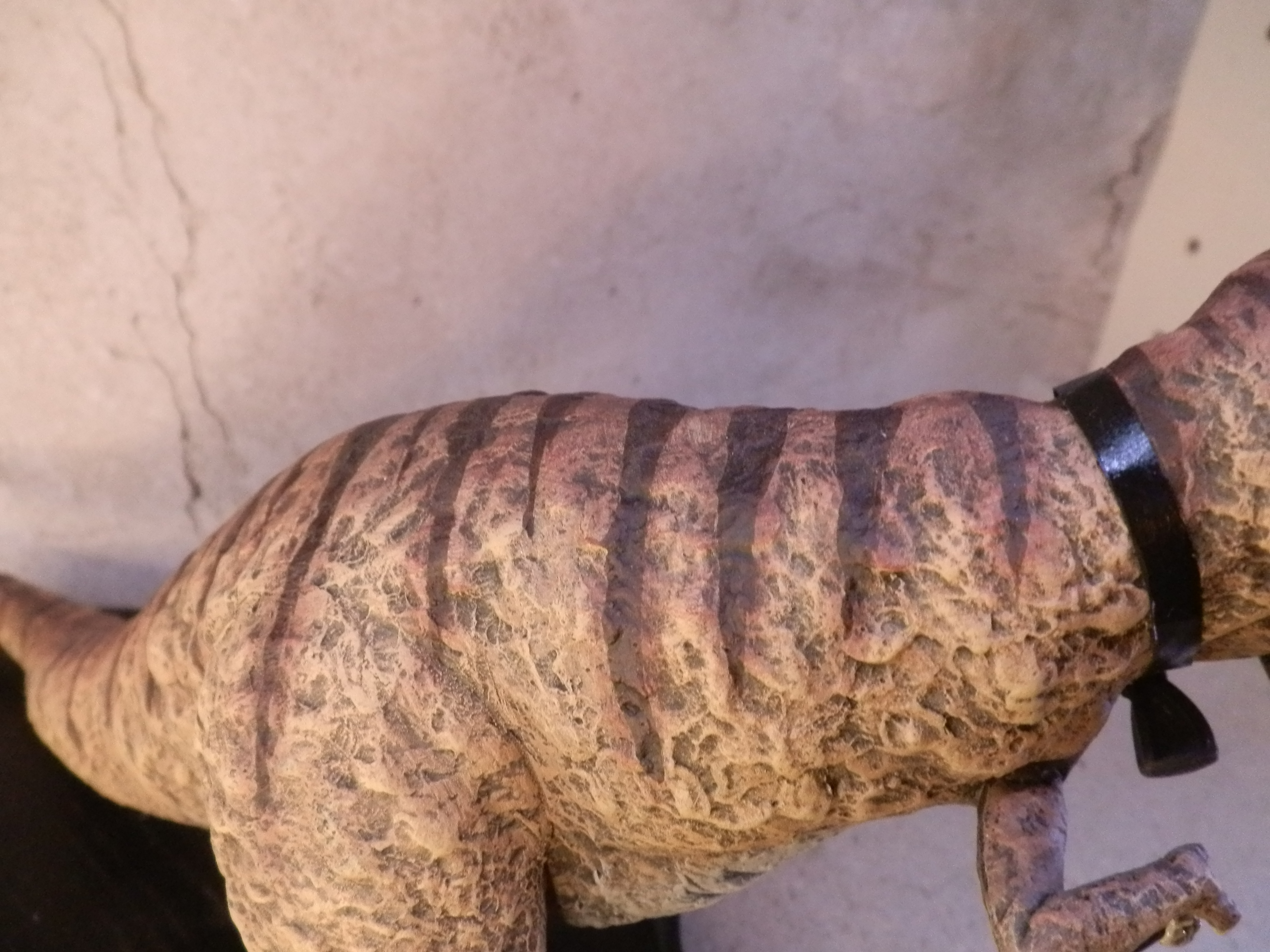 Old Dinosaur