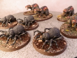 These guys have too many legs even for a spider...