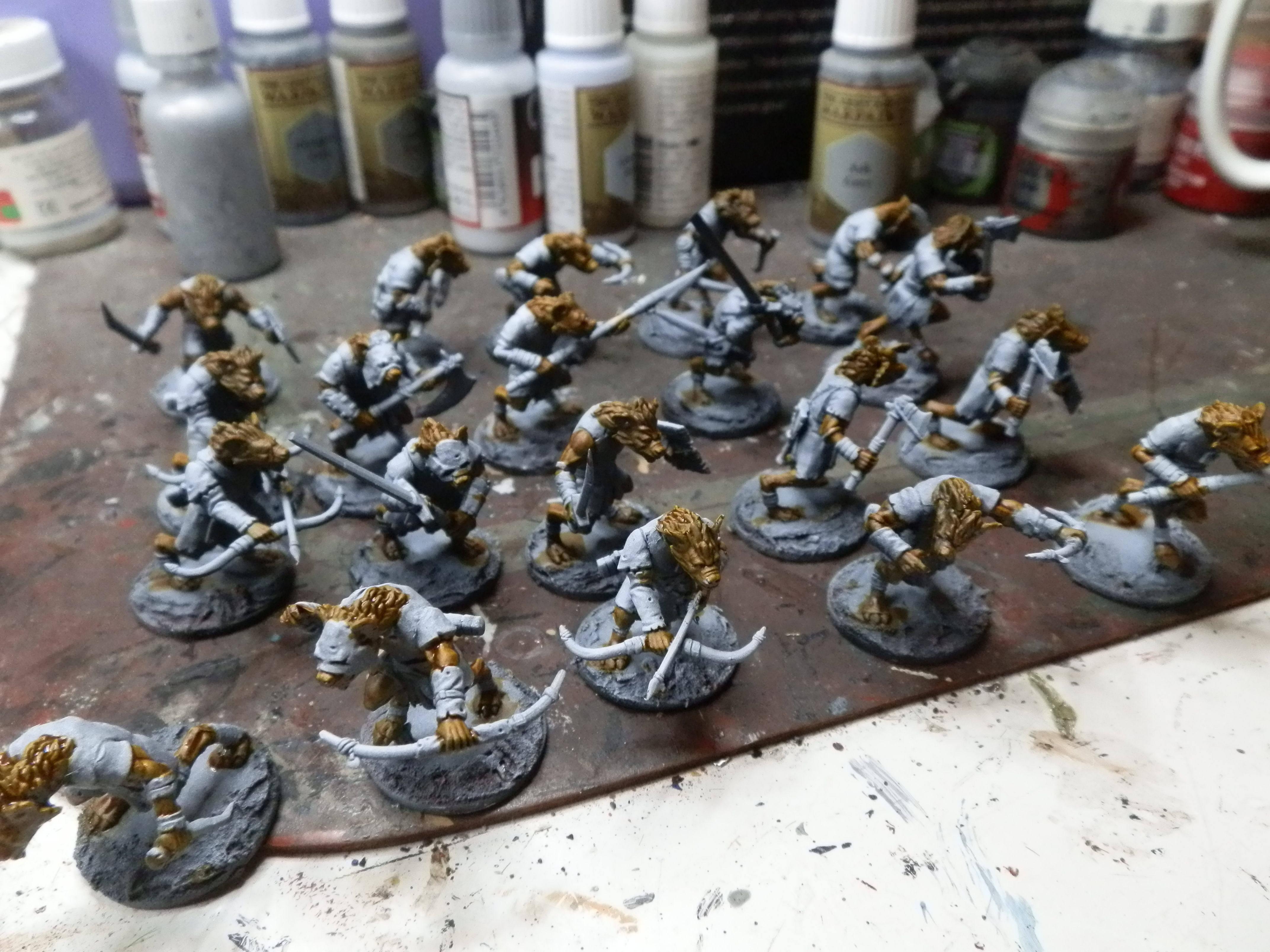 Calling all Doggies!