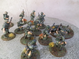 I need more though, so I bought a box from Warlord.