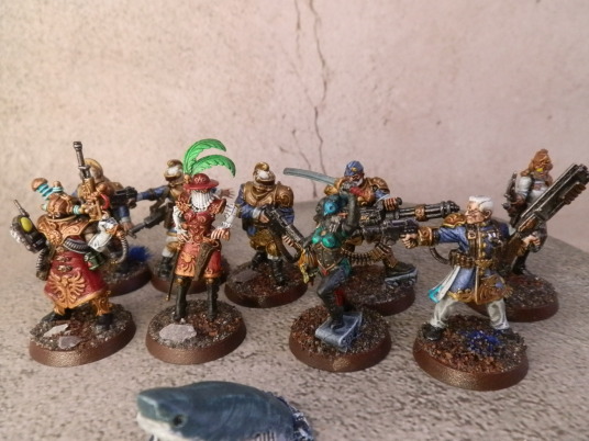 Elucudian Starstriders