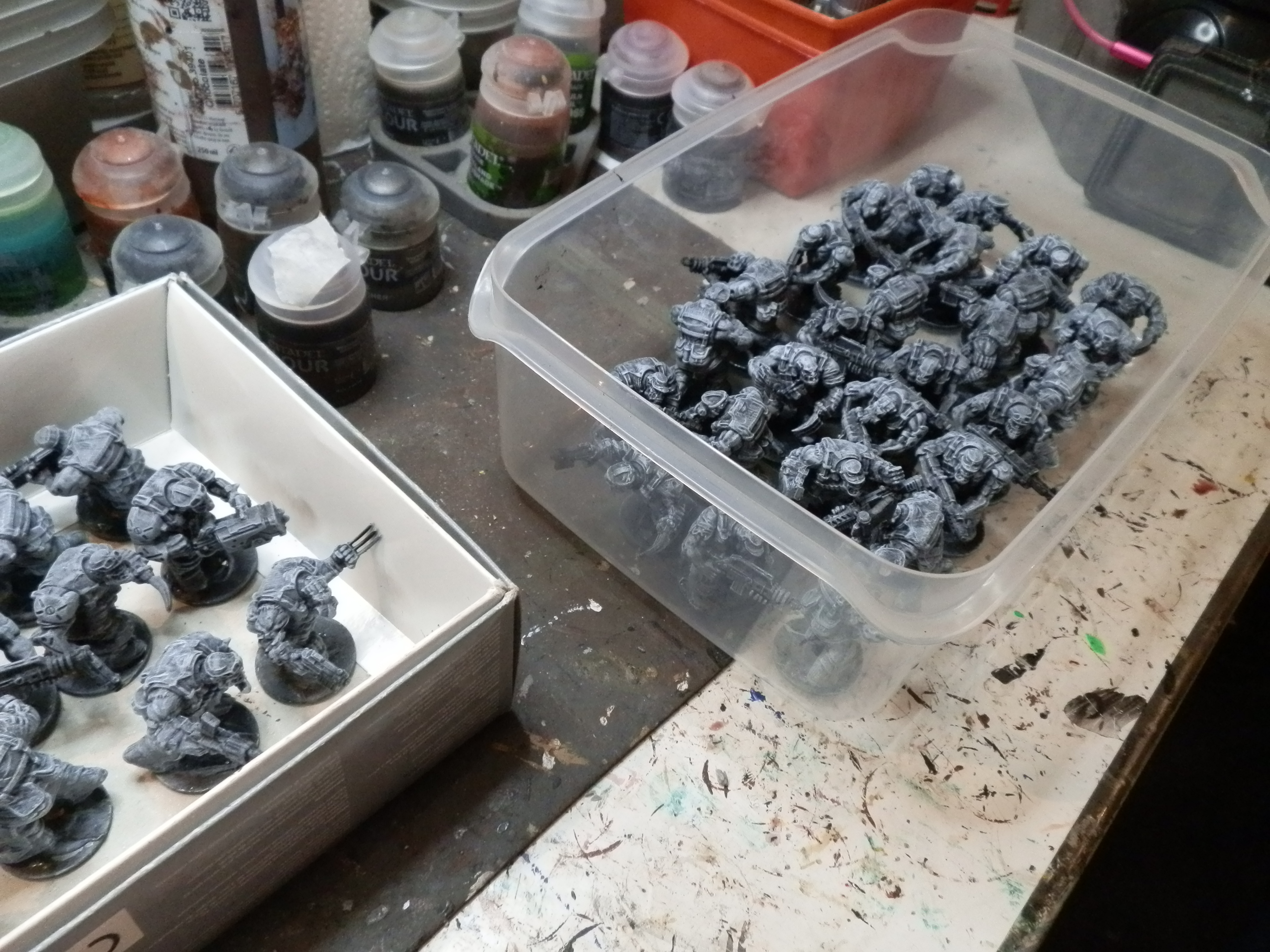 Marauder recruitment