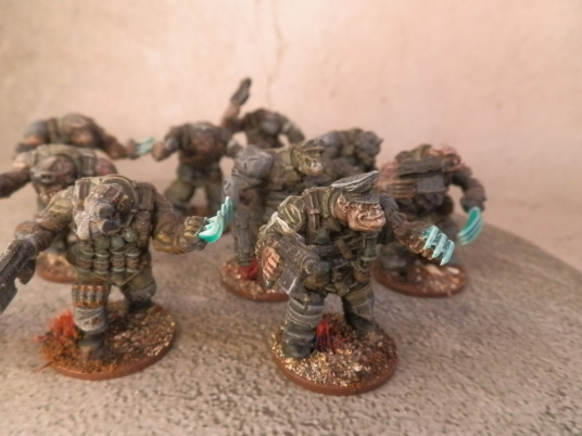 Orc Marauders