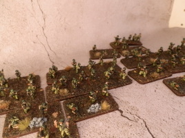 Do I finally have enough?
