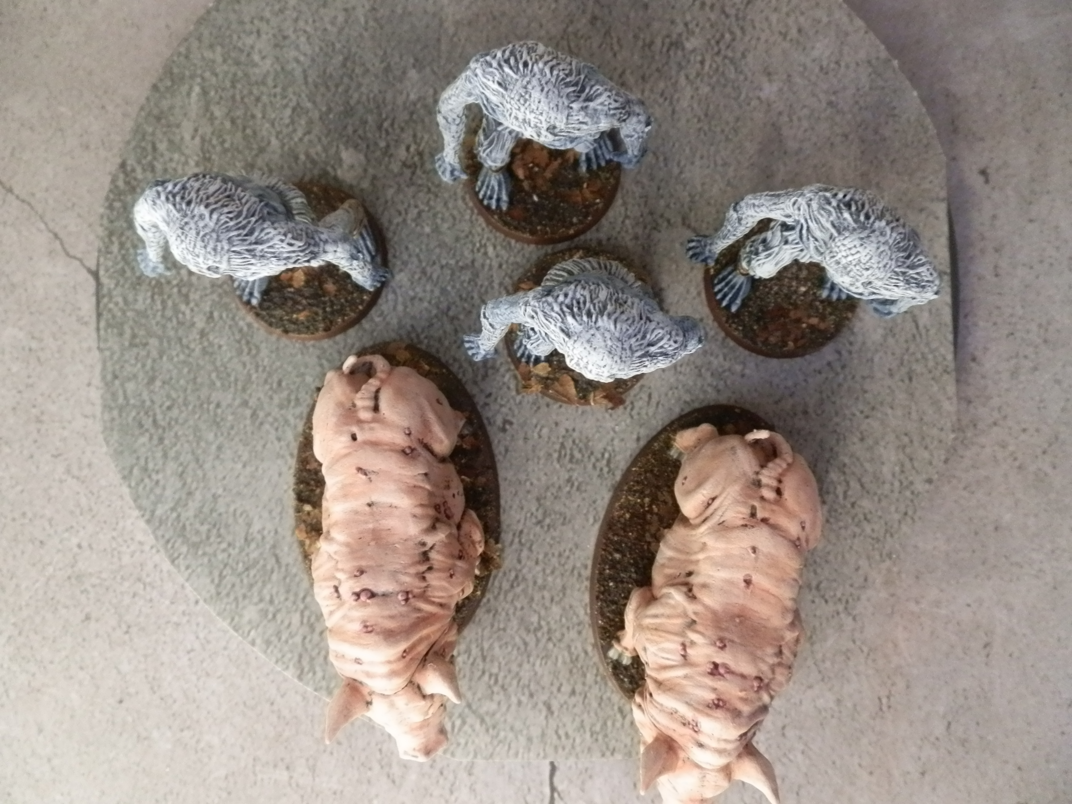 Piggies and kiddies