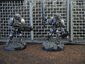 Rather nice fence, actually.