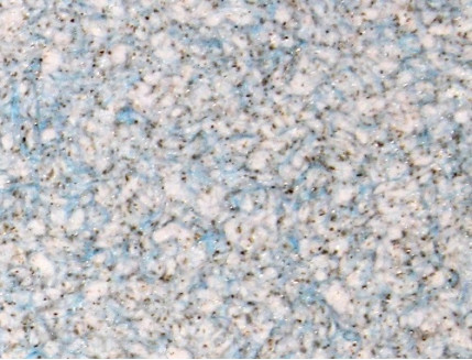 Жидкие обои Bioplast № 868 бело-голубые - Tricolor Жидкие обои Bioplast № 868 бело-голубые