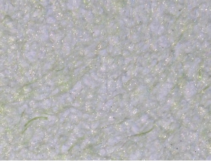 Жидкие обои Bioplast № 8642 бело-зеленые - Tricolor Жидкие обои Bioplast № 8642 бело-зеленые