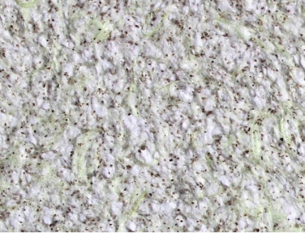 Жидкие обои Bioplast № 8643 бело-зеленые - Tricolor Жидкие обои Bioplast № 8643 бело-зеленые