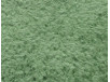 tricolor