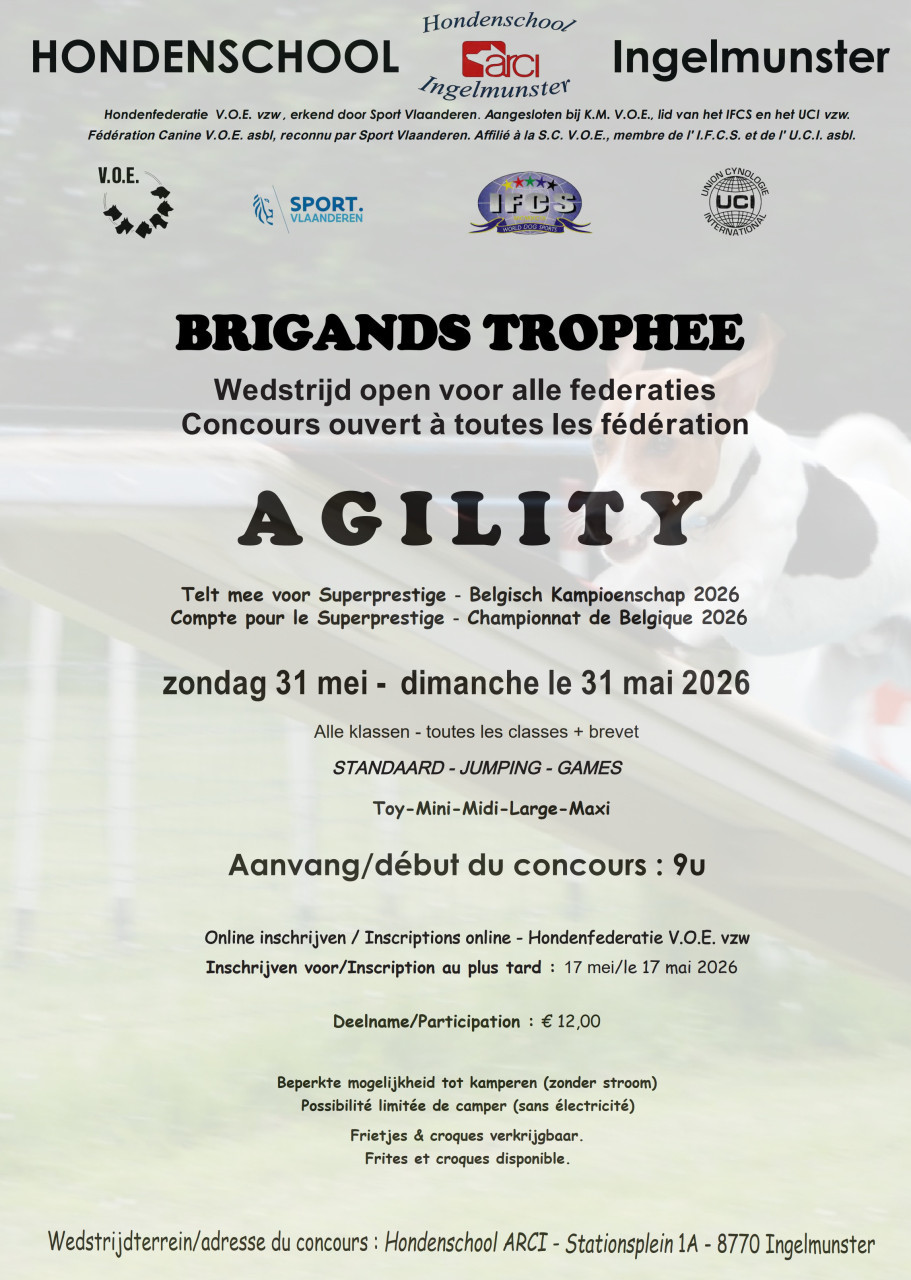 wedstrijd agility