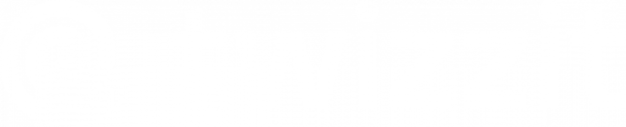 Twizzit