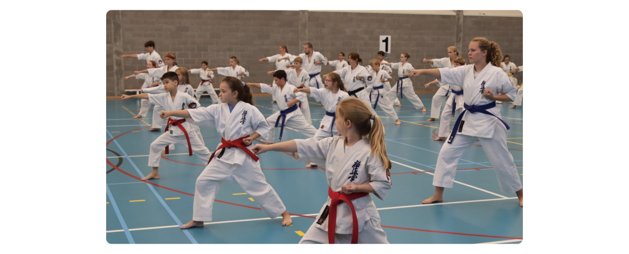 Karateka’s oefenen Kata bij Ookami Dojo
