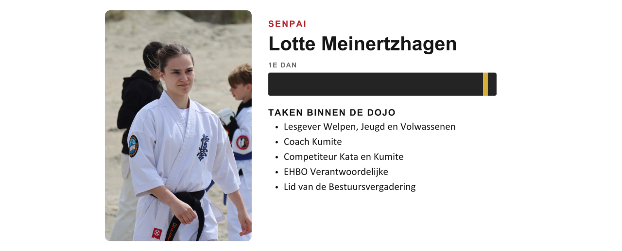 Lesgever van Ookami Dojo