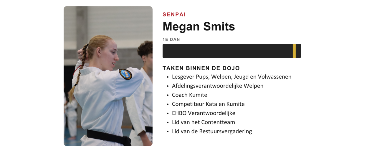 Lesgever van Ookami Dojo