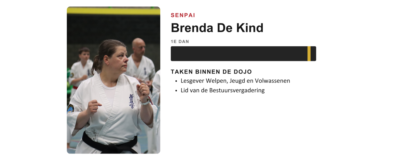 Lesgever van Ookami Dojo
