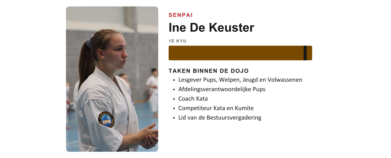 Lesgever van Ookami Dojo
